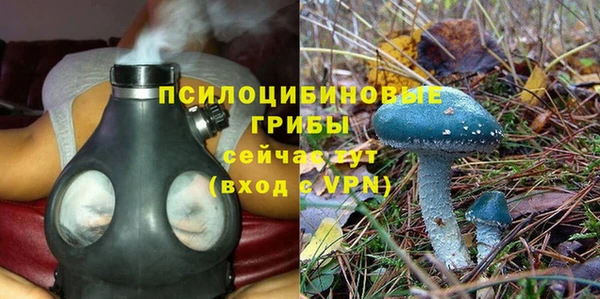 ALPHA PVP Аркадак