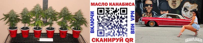 как найти закладки Полярные Зори Дистиллят ТГК вейп с тгк