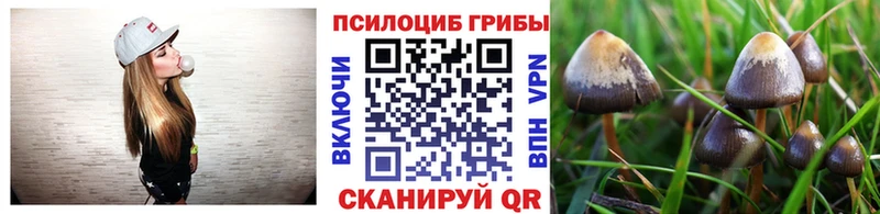 Галлюциногенные грибы Cubensis Полярные Зори